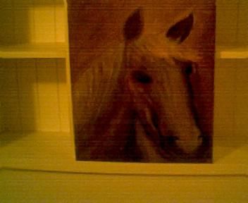 Painting titled "palomino" by Diana Bownds, Original Art,
