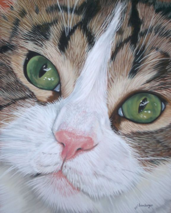 Картина под названием "le chat.jpg" - Les Pastels De Julie, Подлинное произведение искусства, Пастель