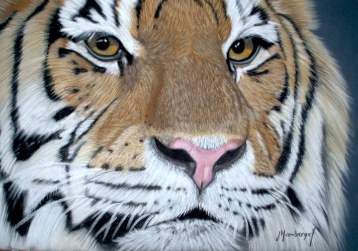 Peinture intitulée "le tigre.jpg" par Les Pastels De Julie, Œuvre d'art originale, Pastel