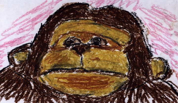 Zeichnungen mit dem Titel "Steve" von Dieter Hamm, Original-Kunstwerk, Kreide