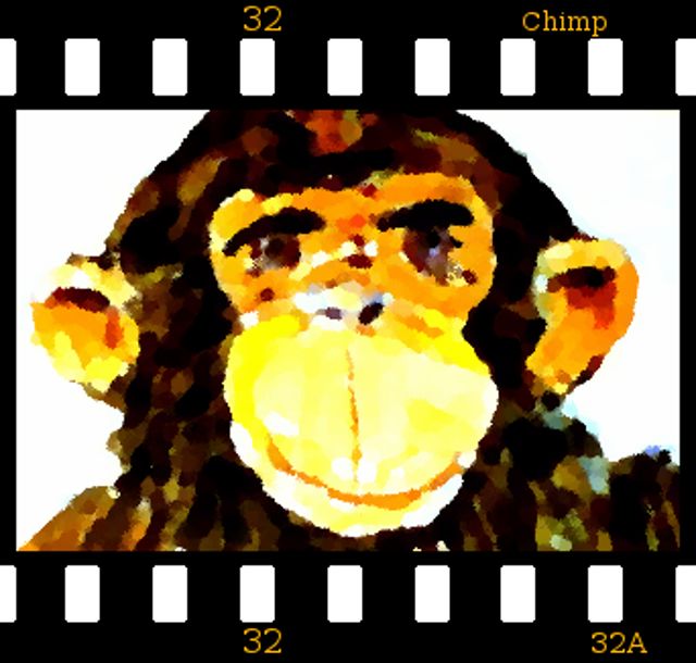 Digitale Kunst mit dem Titel "Chimp" von Dieter Hamm, Original-Kunstwerk, Digitale Malerei