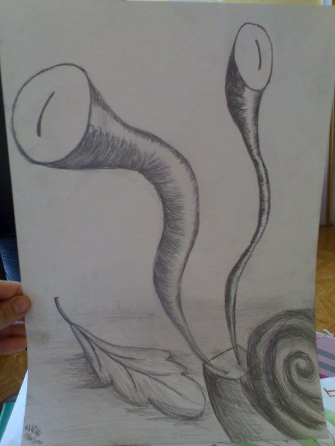 Drawing titled "Snail" by Grzywacz, Original Artwork