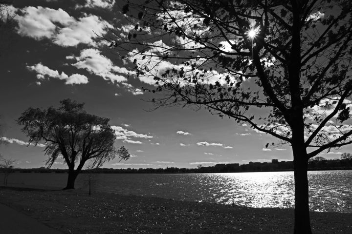 Fotografia zatytułowany „Untitled” autorstwa Hank Douglas, Oryginalna praca