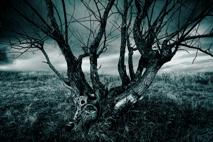 Digital Arts titled "The Wailing Tree" by Hans Christian Renges (Christopher Hanz), Original Artwork, Digital Photography