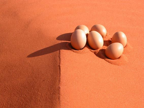 Fotografia intitolato "eggs1.jpg" da Hansjorg Stubler, Opera d'arte originale
