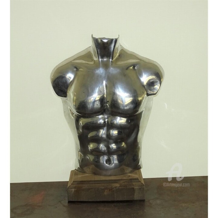 Sculpture intitulée "BUSTE HOMME Alumini…" par Hassan Laamirat, Œuvre d'art originale, Aluminium
