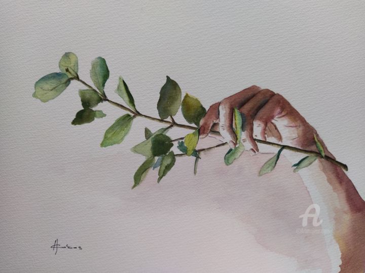 Pintura intitulada "Eucalyptus at Hand" por Horacio Cobas, Obras de arte originais, Aquarela
