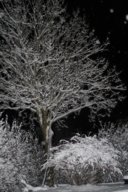 Photography titled "Snowing" by Heart Art Rebecca, Original Artwork