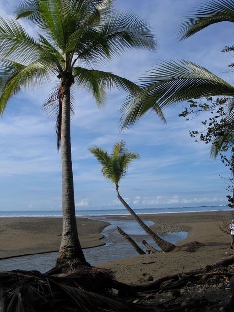 Photography titled "Uvita Costa Rica" by Heart Art Rebecca, Original Artwork