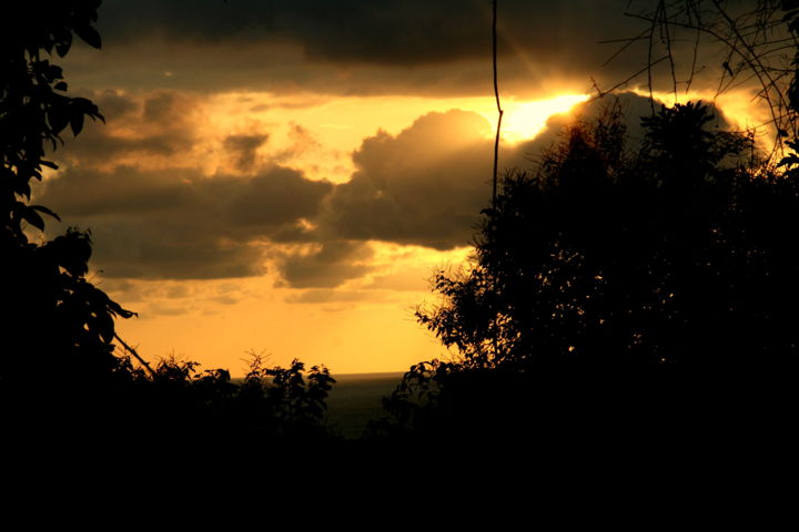 Photography titled "Costa Rica Tipi Jun…" by Heart Art Rebecca, Original Artwork