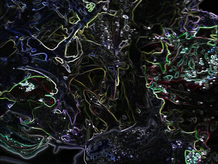 Digitale Kunst mit dem Titel "Forest of the imagi…" von Heart Of Abstraction, Original-Kunstwerk, Digitale Malerei