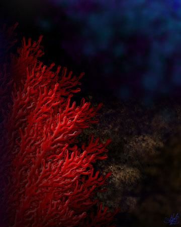 Arts numériques intitulée "ok...it's coral" par Heather Chaney, Œuvre d'art originale