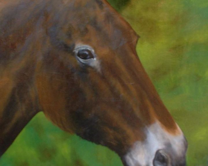 Painting titled "Horse" by Heather White, Original Artwork