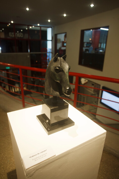 Γλυπτική με τίτλο "Horse's head" από Hector Acevedo, Αυθεντικά έργα τέχνης, Μπρούντζος