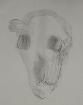 Obrazy i ryciny zatytułowany „Cow Skull (charcoal…” autorstwa Heidi Elmore, Oryginalna praca