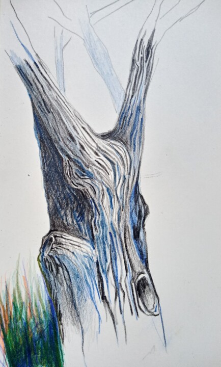 Drawing titled "Etude d arbre2" by Hel Swynghedauw, Original Artwork, Pencil