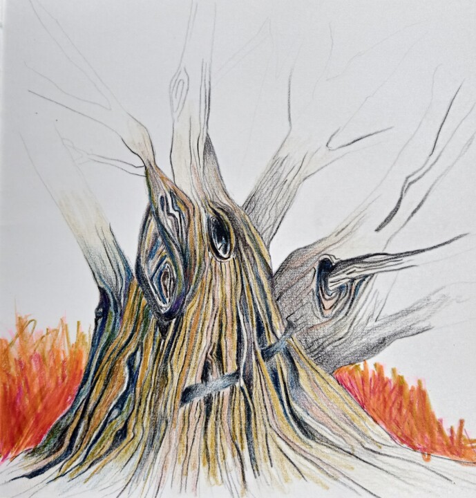 Disegno intitolato "Tronc d arbre" da Hel Swynghedauw, Opera d'arte originale, Matita