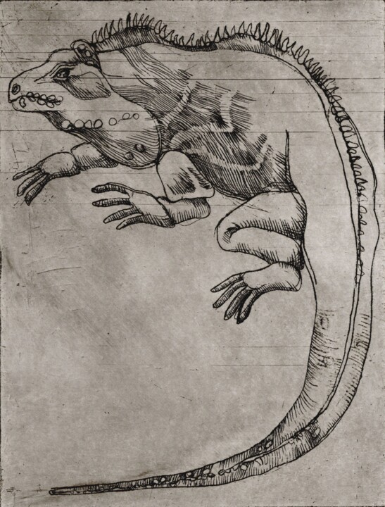 Prenten & gravures getiteld "Iguana" door Helena Kalná, Origineel Kunstwerk, Ets