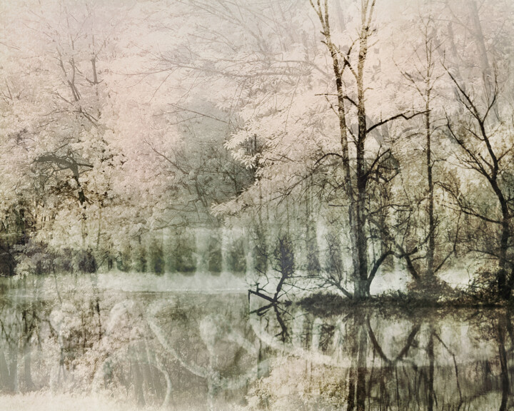 Fotografie mit dem Titel "The Crossing" von Helena Palazzi, Original-Kunstwerk, Digitale Fotografie