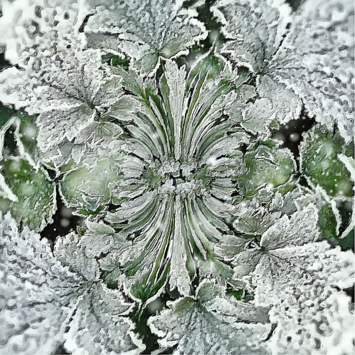 Цифровое искусство под названием "Snow leaves" - Helena Vintergreen, Подлинное произведение искусства, Цифровая живопись