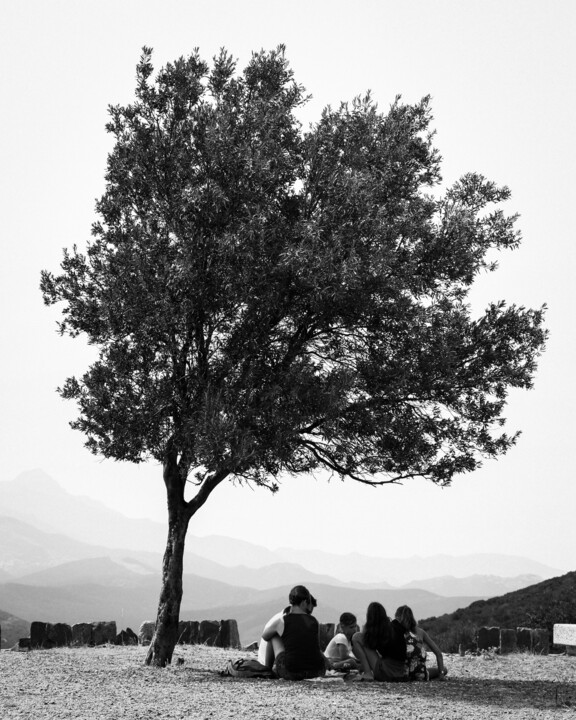 Photographie intitulée "PICNIC UNDER A TREE" par Hélène Le Goff, Œuvre d'art originale, Photographie numérique