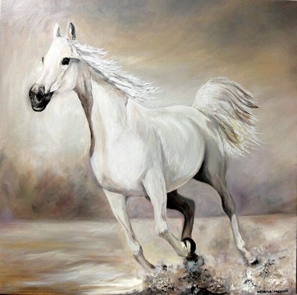 Peinture intitulée "Cheval blanc" par Hélène Molina, Œuvre d'art originale, Huile