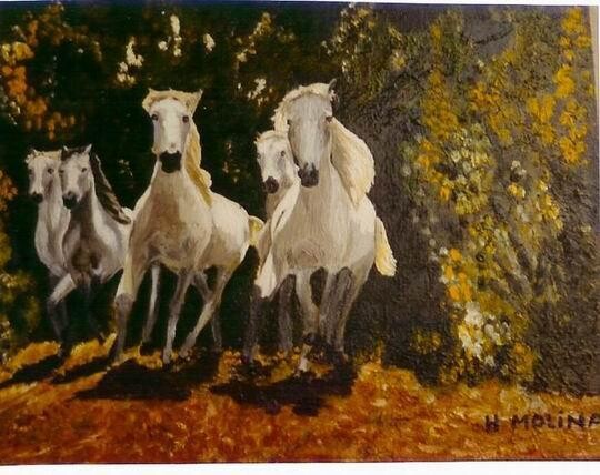 Peinture intitulée "les chevaux de Cama…" par Hélène Molina, Œuvre d'art originale, Huile