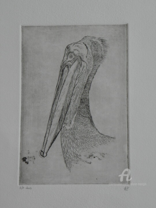 Printmaking titled "Pélican_01" by Hélène Mongin, Original Artwork, Etching