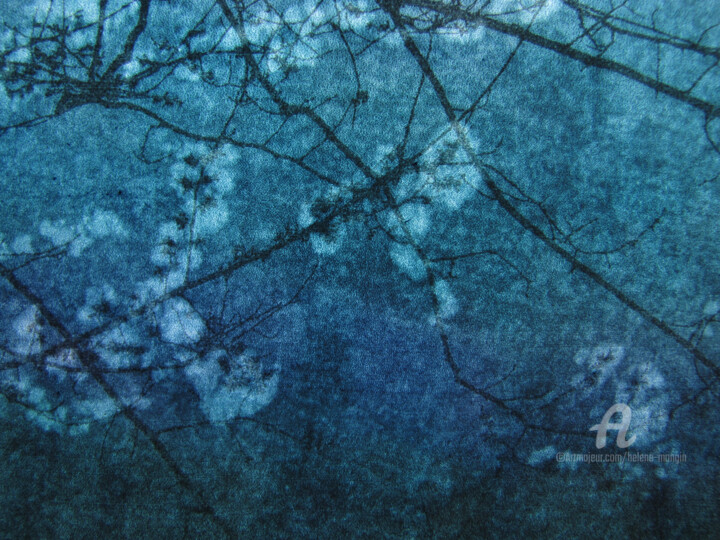 Fotografie getiteld "Arborescences_Bleue…" door Hélène Mongin, Origineel Kunstwerk, Gemanipuleerde fotografie