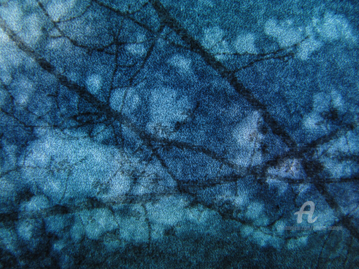 Photographie intitulée "Arborescences_Bleue…" par Hélène Mongin, Œuvre d'art originale, Photographie manipulée