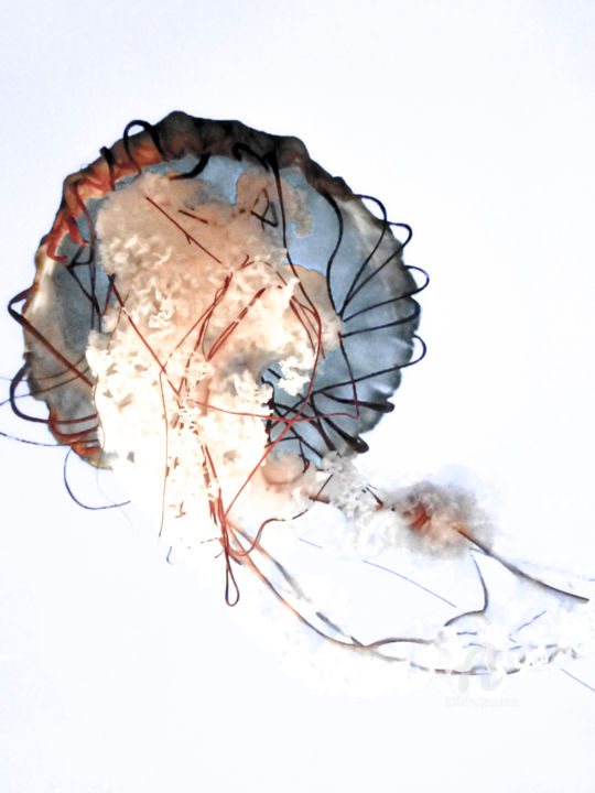 Photography titled "Jellyfish #5" by Hélène Tourbine, Original Artwork, Digital Photography