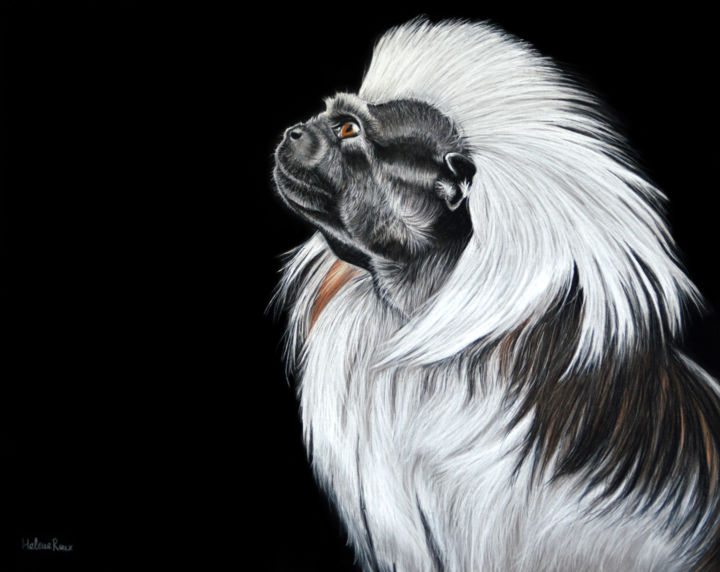 Drawing titled "Regard Primate" by Hélène Roux, Original Artwork, Pastel