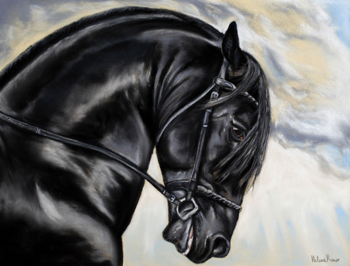 Drawing titled "Cheval Frison" by Hélène Roux, Original Artwork