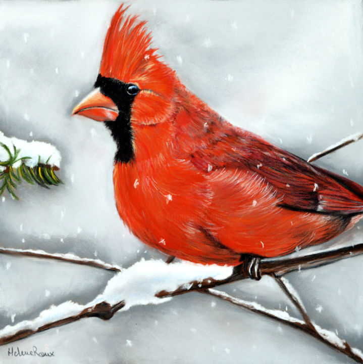 Drawing titled "Cardinal rouge sous…" by Hélène Roux, Original Artwork, Pastel