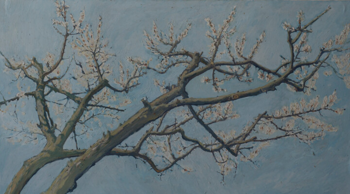Painting titled "Apricot tree in blo…" by Hennadii Volokitin, Original Artwork, Oil