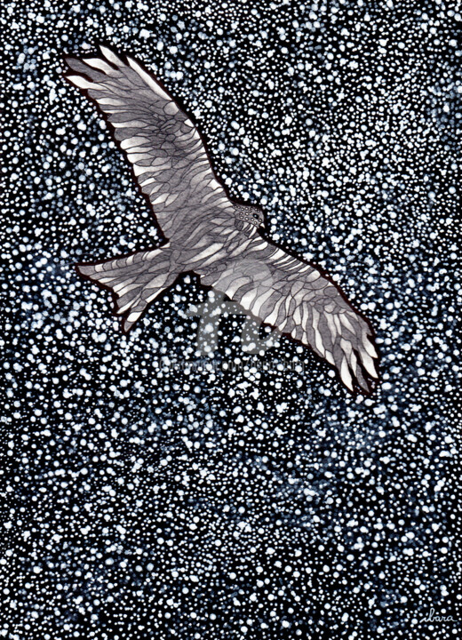 Dessin intitulée "Oiseau galactique" par Henri Ibara, Œuvre d'art originale, Encre