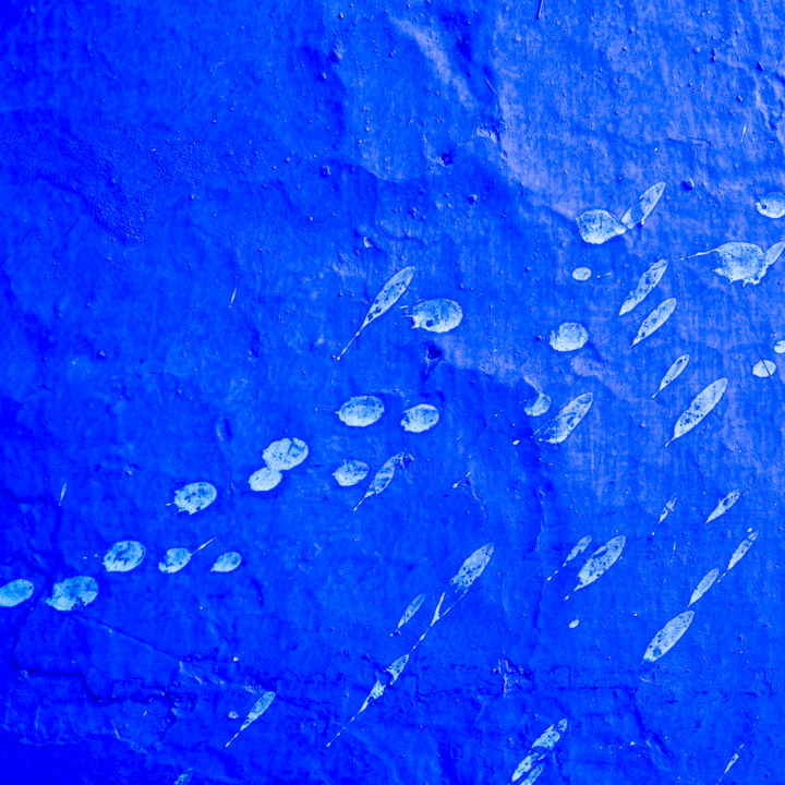 Photography titled "bleu-chaouen-11" by Henri Beau, Original Artwork