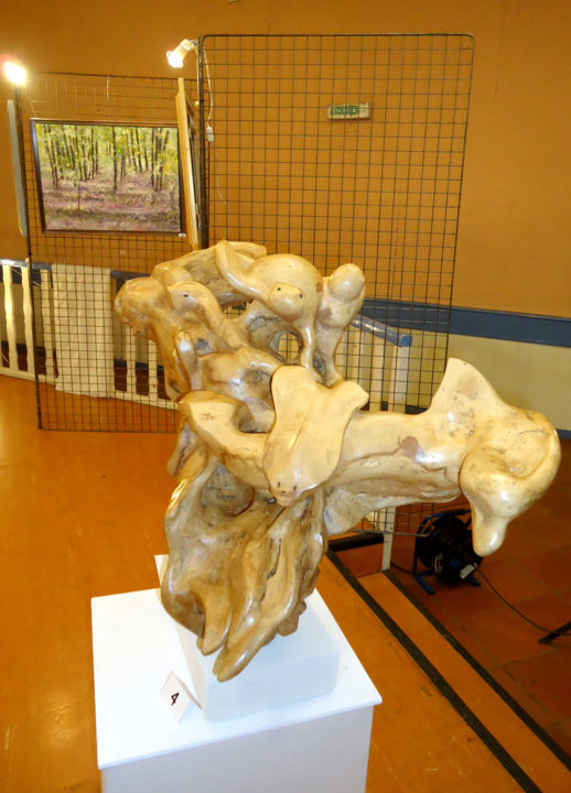 Sculpture titled "2013- 27e Salon de…" by Henri Degracia, Original Artwork, Wood
