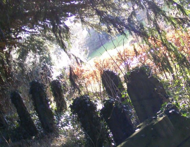 Photography titled "Gravestones" by Henrietta, Original Artwork