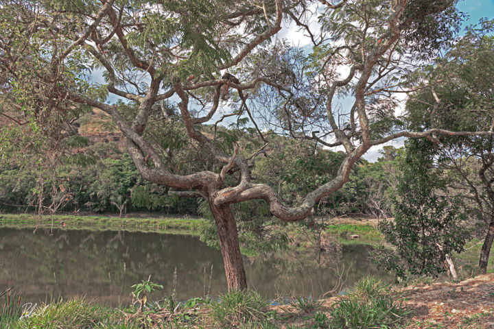 Fotografia intitulada "Paisagem natural Mi…" por Roland Raia, Obras de arte originais, Fotografia digital