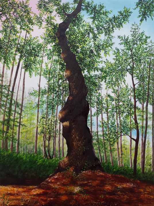 Картина под названием "Twisted Tree" - Hazel Thomson, Подлинное произведение искусства, Масло