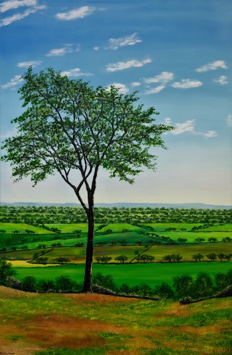 Peinture intitulée "Summer In cheshire" par Hazel Thomson, Œuvre d'art originale, Huile Monté sur Châssis en bois