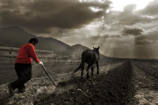 Photography titled "故土" by Lao Qie Ying Hua, Original Artwork