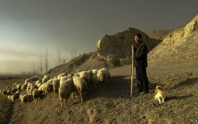 Photographie intitulée "故土" par Lao Qie Ying Hua, Œuvre d'art originale