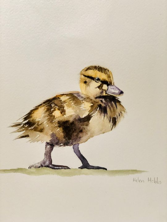 Peinture intitulée "Duckling" par Helen Hobbs, Œuvre d'art originale, Aquarelle Monté sur Carton