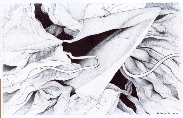 Рисунок под названием "Black to White #10" - Hilman Hendarsyah, Подлинное произведение искусства, Шариковая ручка