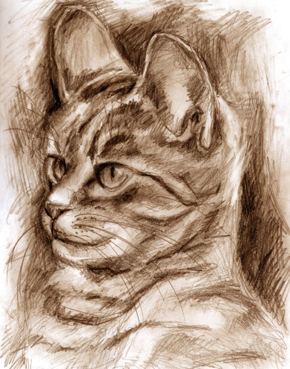 Disegno intitolato "Cat Drawing" da Hiroko Sakai, Opera d'arte originale, Altro