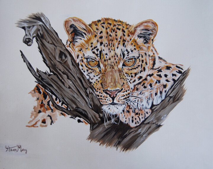 Pintura titulada "leopards rest" por Hiten Mistry, Obra de arte original, Acrílico