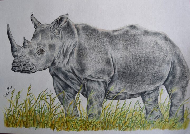 Drawing titled "white rhino" by Hiten Mistry, Original Artwork, Other