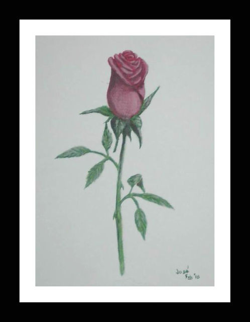 Schilderij getiteld "Solitary Rose" door Jose', Origineel Kunstwerk, Olie